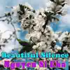 Nguyen Si Kha - Beautiful Silence